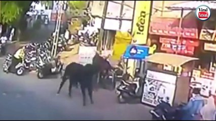 देखिये इस बैल ने महिला को कैसे हवा में फेंक दिया - दिल दहला देने वाला हादसा !