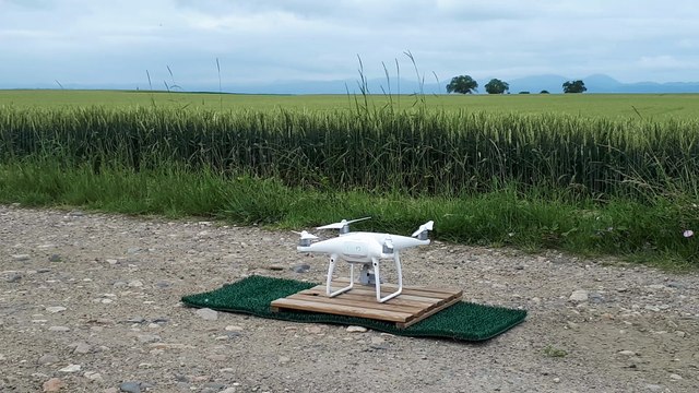 Un drone de la LPO pour protéger les busards cendrés