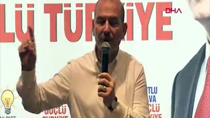İçişleri Bakanı Soylu: Suruç'taki olayın sorumlusu Muharrem İnce'dir