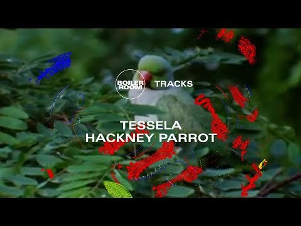 Rave belter to match the 90s originals?  Tessela's massive Hackney Parrot | Boiler Room