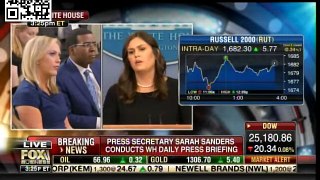 CNN Analyst Starts SCREAMING AT SARAH HUCKABEE SANDE During White House Press Meeting