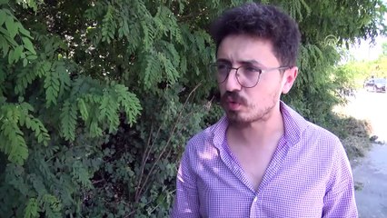 Patileri kesilen yavru köpeğin ölümü (2) - SAKARYA