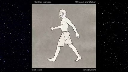 550 Million Years in 40 Seconds