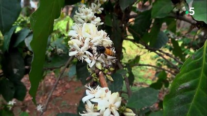 Les mystères du goût - Saison 1 - Les neurones passent à table