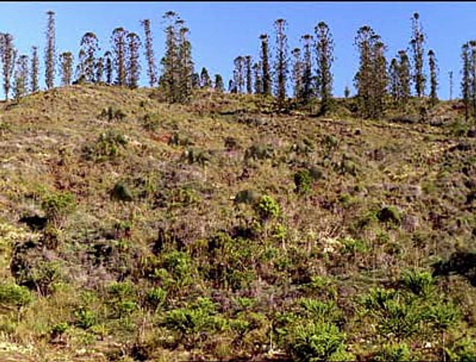 Walking With Dinosaurs (1) New Blood