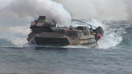 폭스뉴스 "美 국방부, 8월 한미연합훈련 취소 예상" / YTN