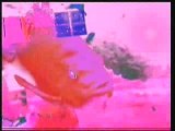 VJ Clips Purple Fish
