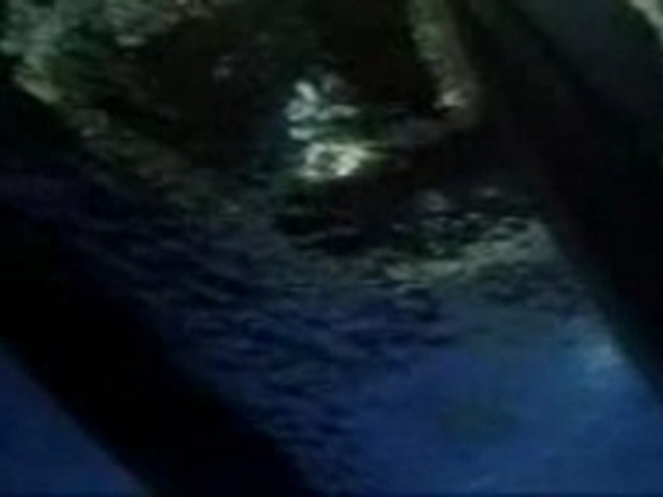 Deep Blue Sea (Theatrical Trailer)