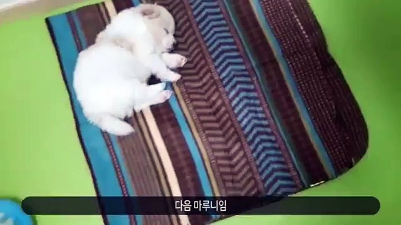 ヮ춘천출장안마 춘천출장샵//카톡：WHT79{//}초이스::WHT66.NET// ヮ춘천콜걸ヮ춘천출장업소ヮ춘천애인대행 ヮ춘천출장만남 ヮ춘천여대생출장샵추천 콜걸만남 콜걸안마 콜걸마사지