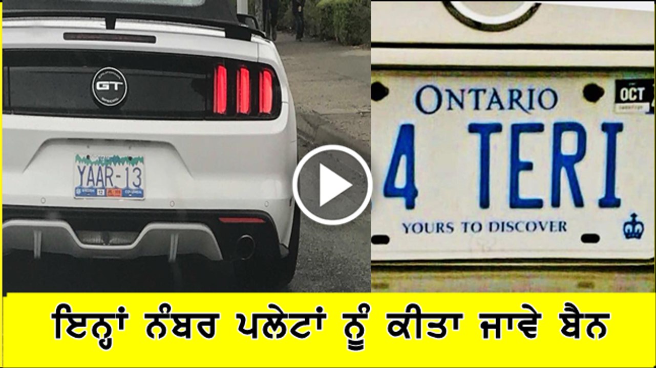 Canadian activist wants license plates like this one banned
