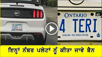 Canadian activist wants license plates like this one banned