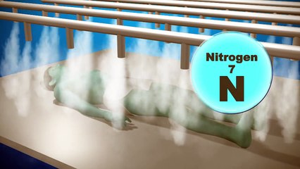 New form of burial freeze-dries bodies, turning them into plant food