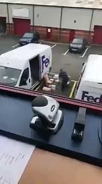 Когда любишь свою работу.