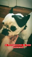 Paula back revista Las Rosas 2 - 15 de Junio