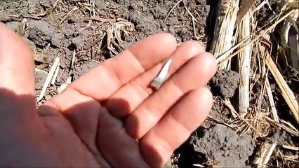 Без названия