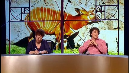 Qi S01 E09 Africa