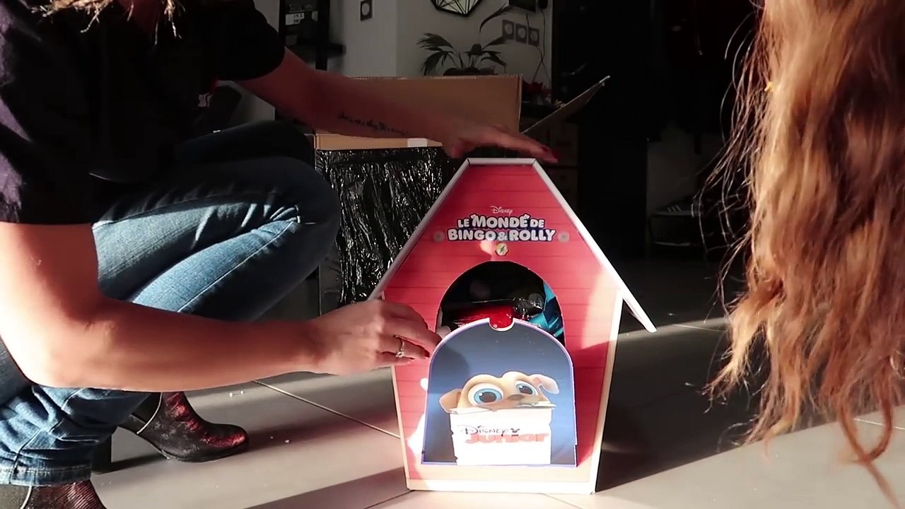 SURPRISE POUR LES CHIENS   _ Family vlog