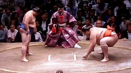 正代 vs 魁聖 2018年大相撲夏場所6日目 20180518