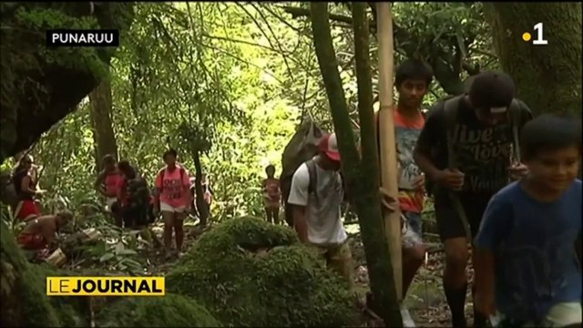La saison des oranges : les cueilleurs se préparent