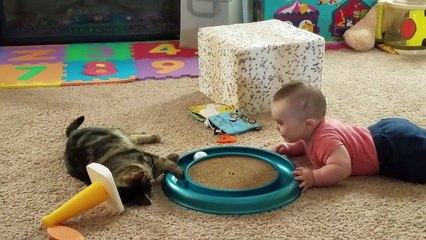 Most Adorable Animal and Baby Compilation 2018 | Funny Pet Videos