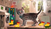 Fun Pet Care Kids Game - Little Kitten Adventures - Play Fun Costume Dress-Up Party Mini Games