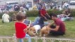 Taksim'de "Çin Aslanı" Cinsi Köpeklere Vatandaşlardan Büyük İlgi