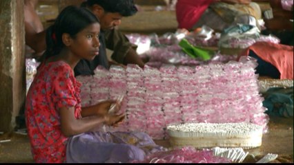 Child labour in Bangladesh's cheap cigarette factories