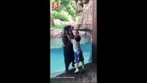 Un ours imite un enfant de 5 ans qui saute... Adorable