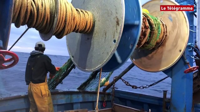 ​Guilvinec. Reportage à bord d'un chalutier