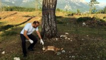 Nesli tükenme tehlikesinde olan Karakulak ölü olarak bulundu