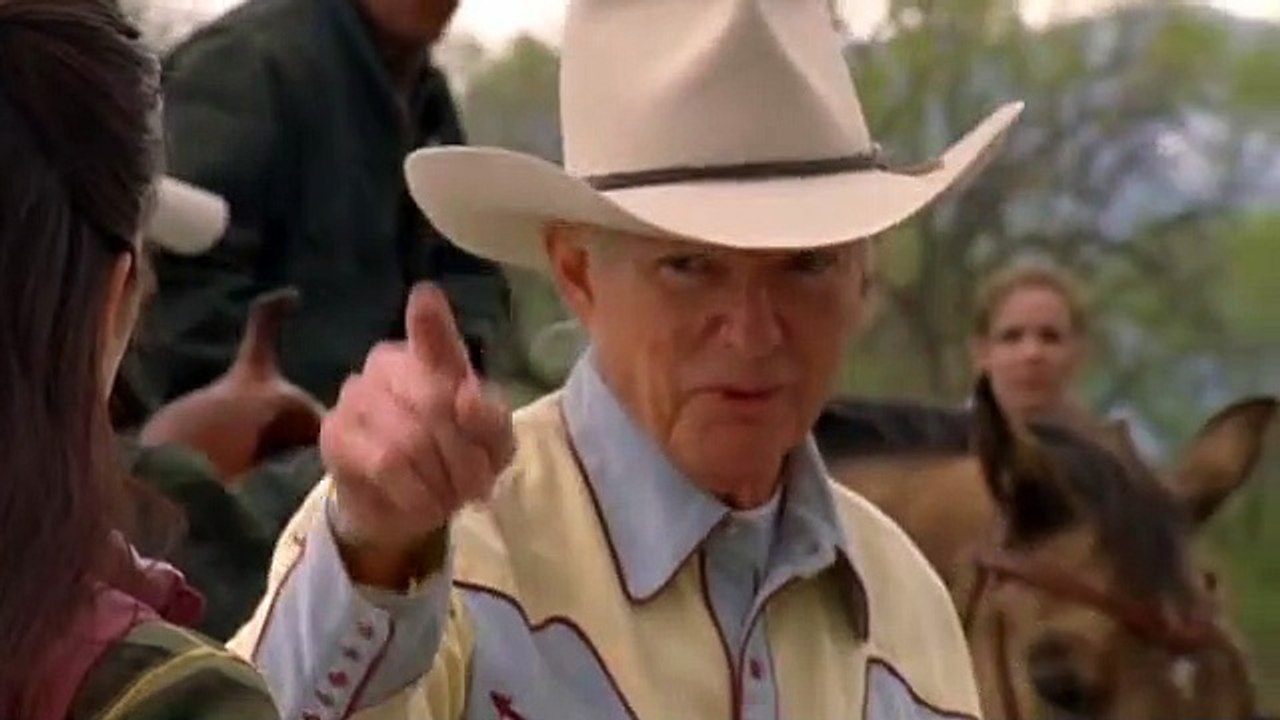 Wildfire S04E08