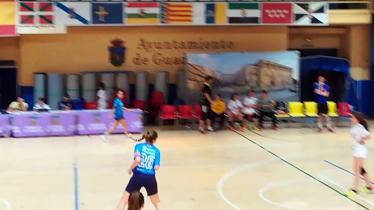 Balonmano cadete femenino, CB Guadalajara 25 - 29 CD Iplacea