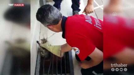Saatler sonra geri dönüp mazgala düşen kediyi kurtardı