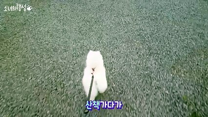 [영산출장샵]『카톡HIS55 홈피HIS35,NET』영산콜걸 일본인출장만남 영산출장안마 여대생콜걸샵추천ヮ 영산콜걸만남 영산출장업소 영산미시만남업소 영산모텔출장강추 영산출장마사지 영산애인대행