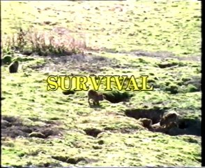 Junior Survival: The Trail of Peter Rabbit (1988 UK VHS)