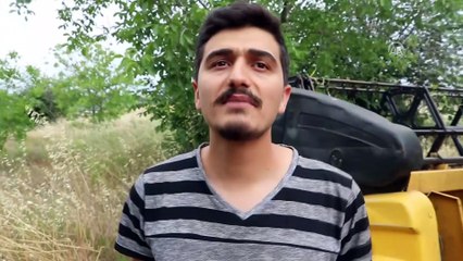 Buğday hasadı başladı - TEKİRDAĞ