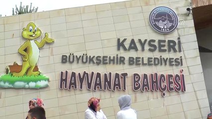 Kayseri Hayvanat Bahçesi'nde Bayram Yoğunluğu