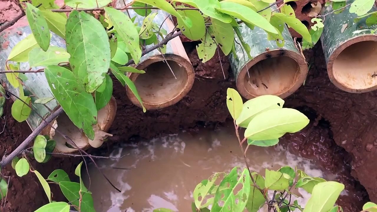 The first Trap Can Catch Alot of fish