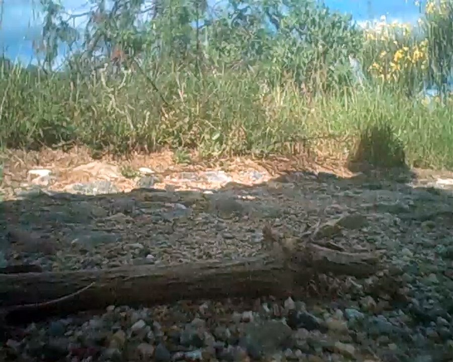 Ovni pris en video par un drone  2018