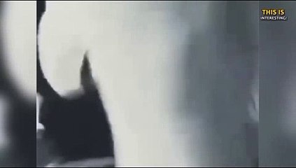 아바타전화배팅 【카톡문의 - SUHO55 】  폰배팅