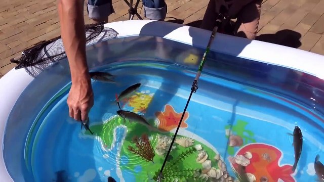 Рыбалка на карася и сома Живые раки и крабы Макс ловит рыбу в бассейне с жабами
