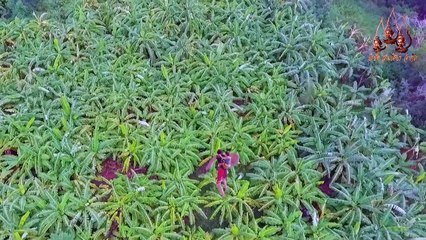 เทพสามฤดู ตอน 3 (4/5) [8 กรกฎาคม 2560]