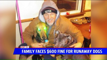 Family Can`t Afford Fees to Bring Dogs Home After They Escape Yard