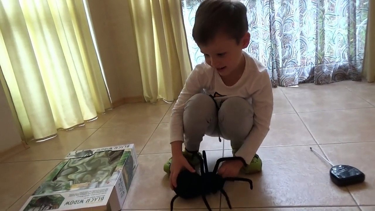 Паук Чёрная вдова распаковка игрушки на Радио Мистер Макс & Мисс Катя (новый выпуск 08 11 2016)