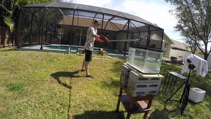 Расплавленная соль в аквариуме с водой - Приколы 2016