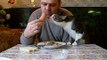 Как мой кот, просит кушать. Butch cat chooses sausage