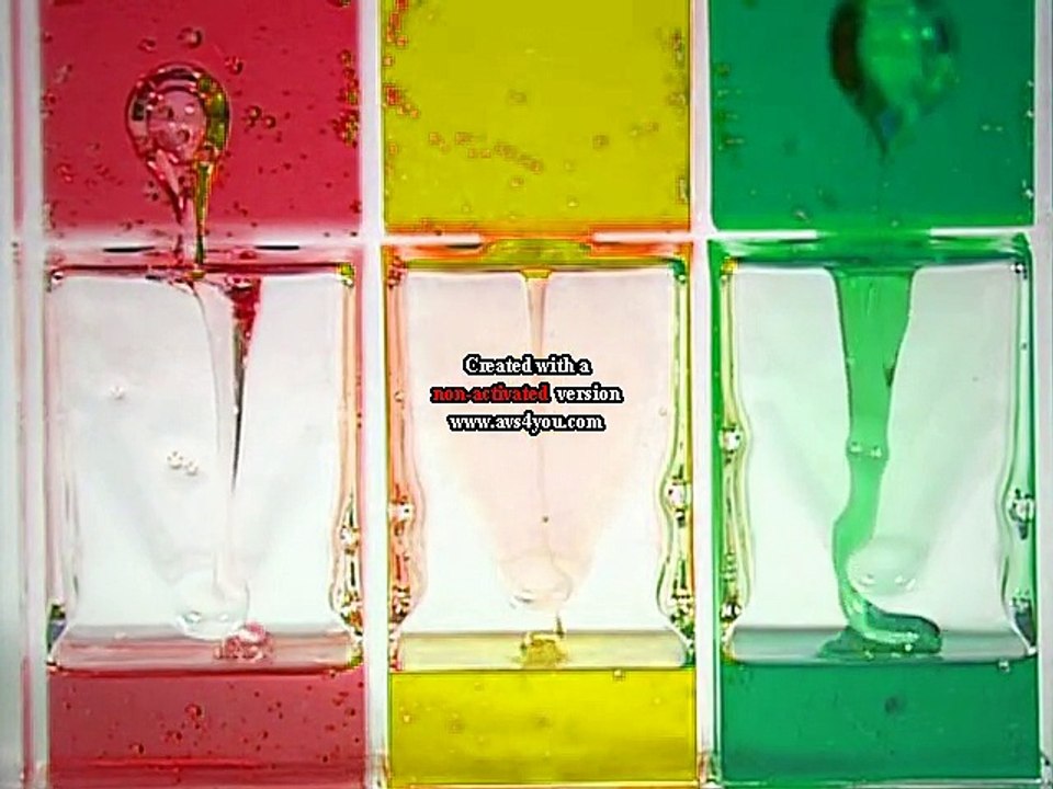 Baby Einstein - Baby Mozart - Music Festival in Lost Effect