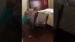 Clever Toddler Escapes From Crib Thanks to Older Brother
