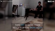 Cat shows off extreme goal keeping skills