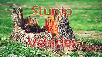Stump vs Vehicles - Toplop Tree Services Boronia